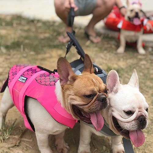 Miniatura 2 de hifrenchies chamarra Shark de sirena pez payaso natación chaleco de vida de perro mascota traje de baño chaleco salvavidas de flotación de seguridad