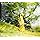 carview.php?tsp=
