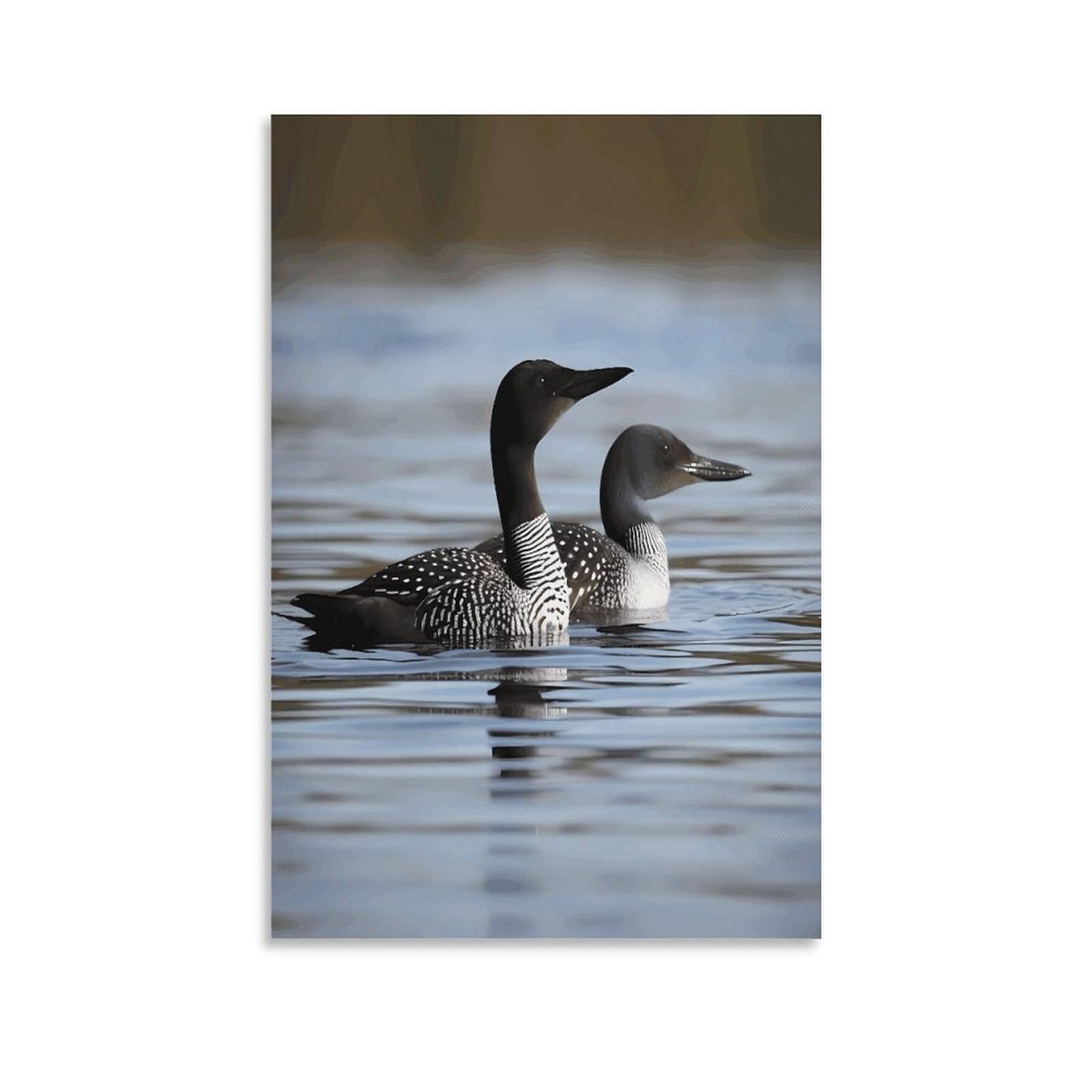 VstaDank Loon Birds Canvas Wall Art on Canvas Prints Artwork Exquisite Decor Artwork Hang Wall Picture Hangable Decor Painting Picture Printed Poster Art for Home Decor 20x30inch(50x75cm)