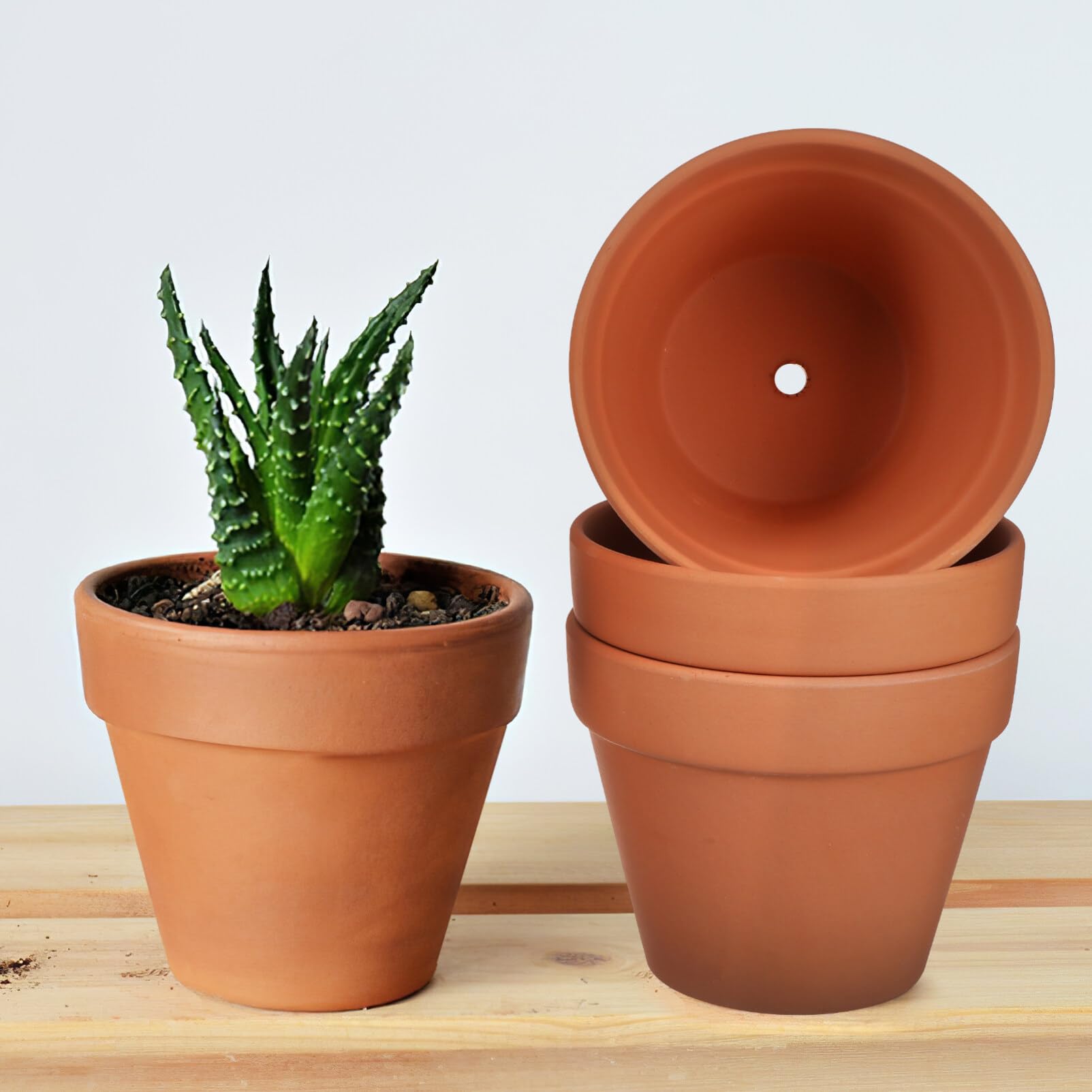 Mini Macetas Para Exteriores Pack De 24 Macetas Mini De Terracota - Con  Agujero De Drenaje (5x5.5cm) Para Suculentas Y Cactus Mini Macetas Para Casa, image size:1603x1603