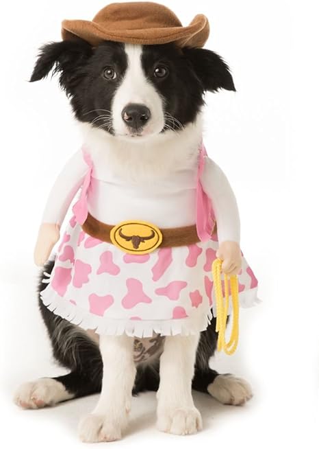 Dog cowgirl outfit Outlet