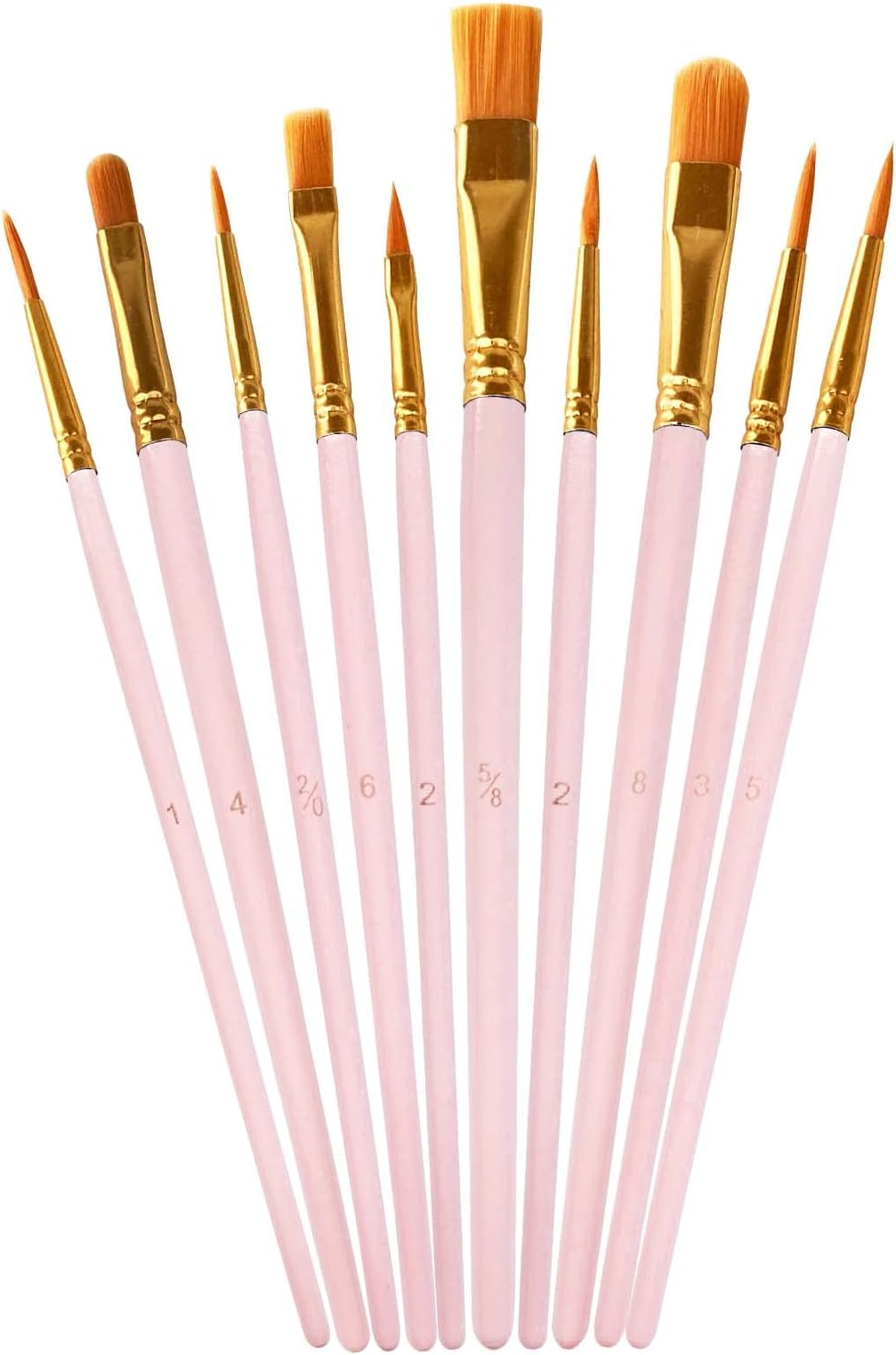 LNAUJS 1 Pack Paint Brushes Set, 10 Pcs Nylon Hair Painting Brushes for Watercolor, Oil, Acrylic Paint, Pink