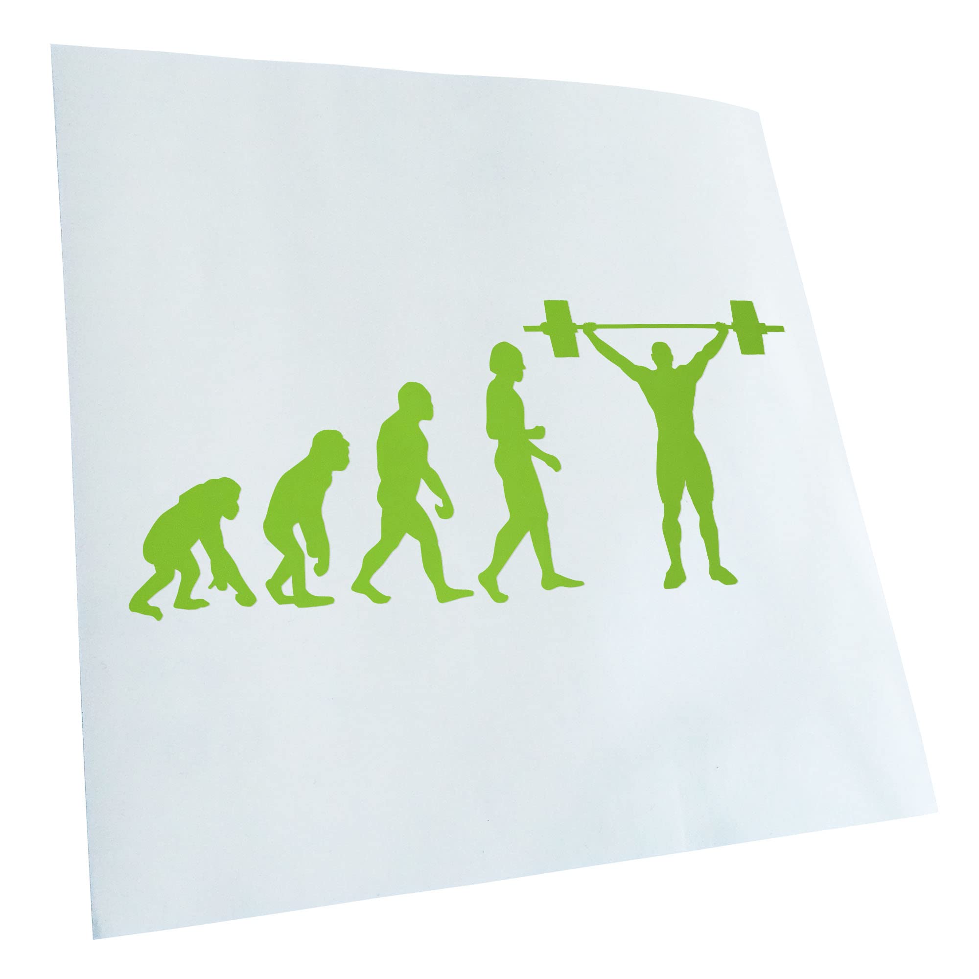 Kiwistar - Car Sticker - Green - 40 x 17 cm Evolution Weightlifter - Rear Window Car Sticker Weatherproof for Car Truck Moped Truck - Sticker Exterior Self-Adhesive Tuning Accessories for Window