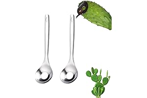 Kitchy Kitchen Pro Stainless Steel Mexican Nopales Peeler Spoon