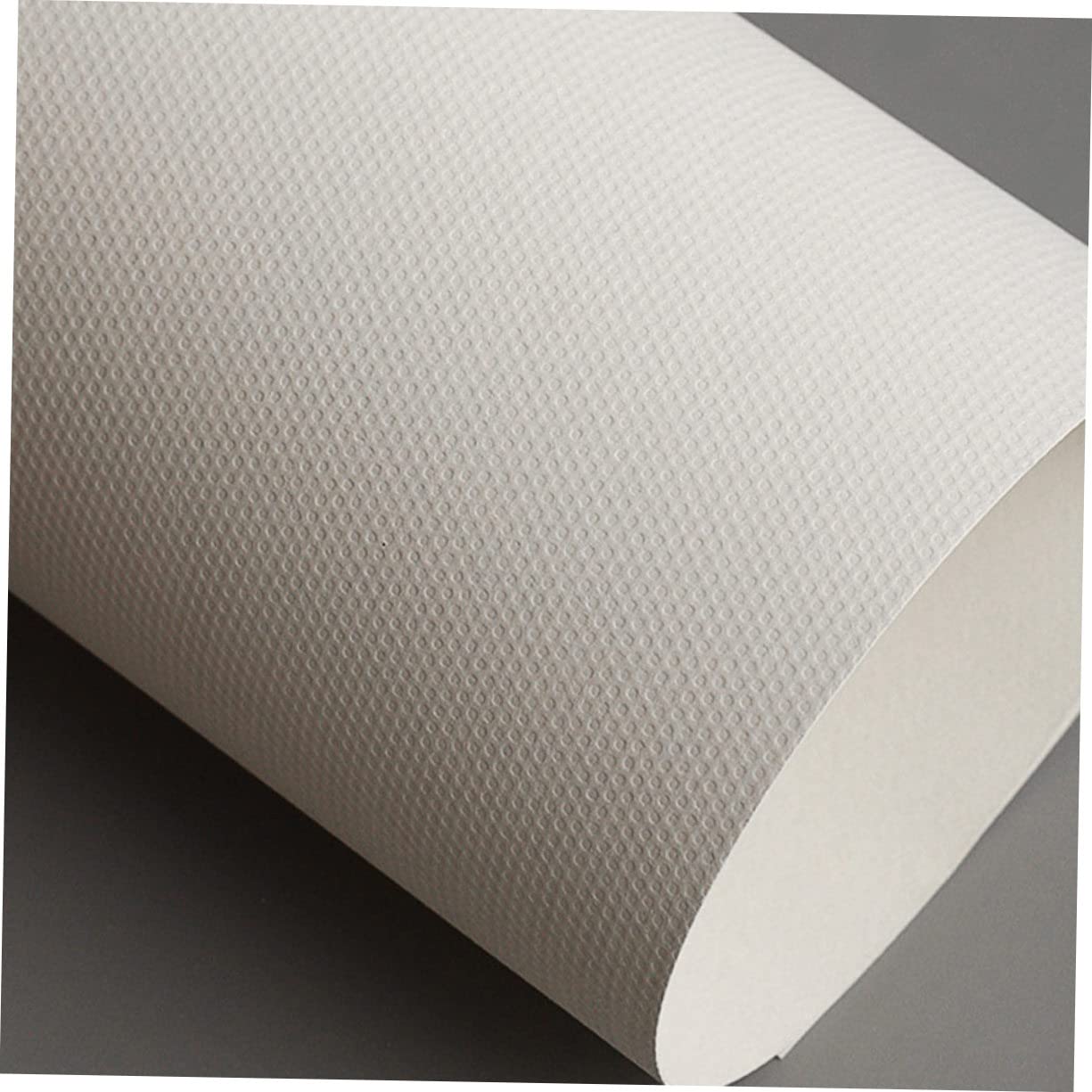 Hohopeti Papier à Dessin pour Garçon et Filles et Étudiants 60 Feuilles Blanc Facile à Transporter en Pâte à Papier pour Dessin et Croquis la Maison Classe
