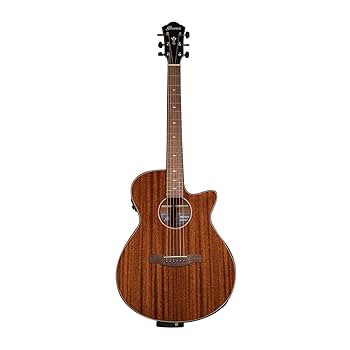 Amazon | Ibanez アイバニーズ 抱えやすいジャストサイズの
