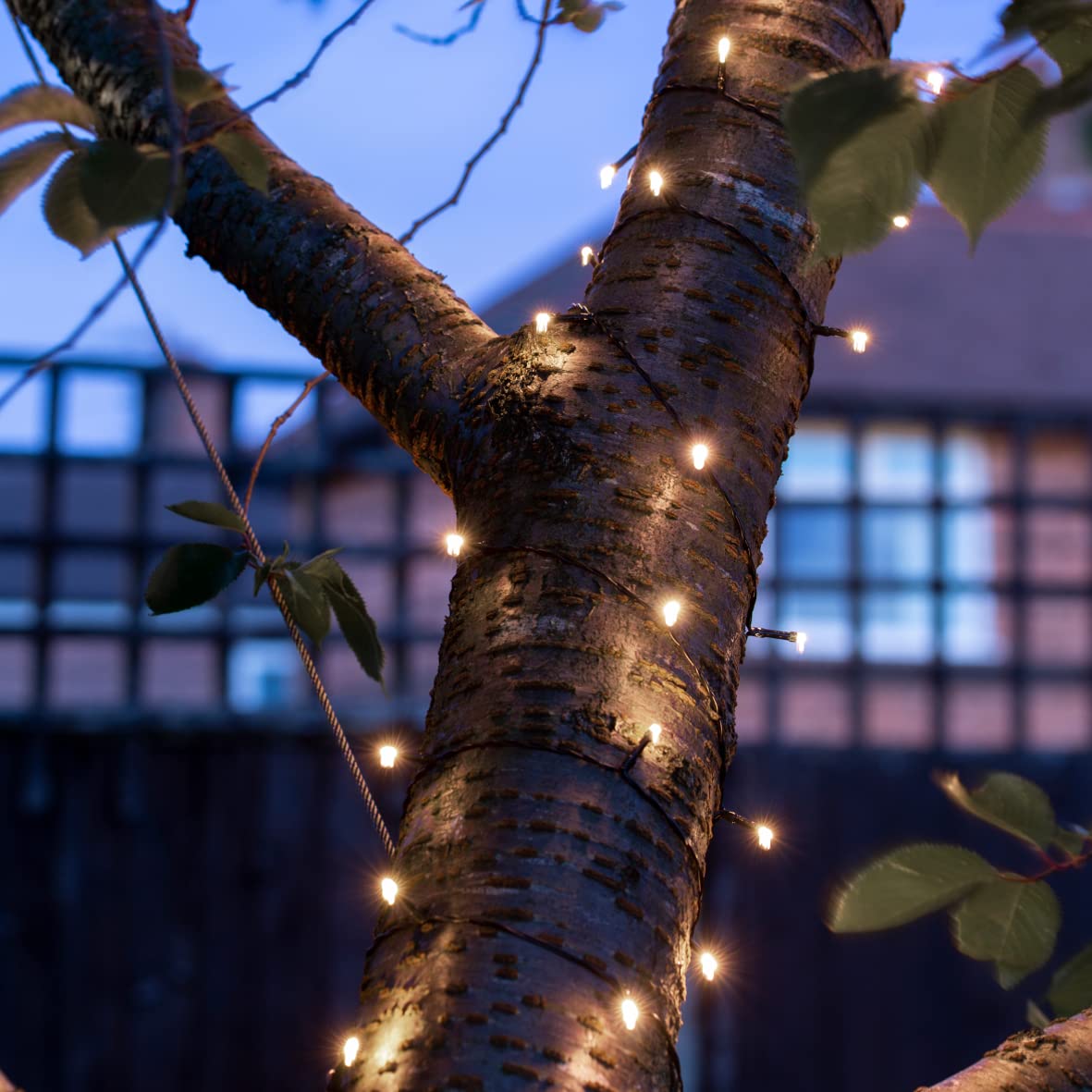 GardenKraft 15439 LED String Lights / 4.9m Coverage Per Set/Solar Powered/Outdoor Lighting / IP44 Weatherproof (2PK of 50, Bright White)