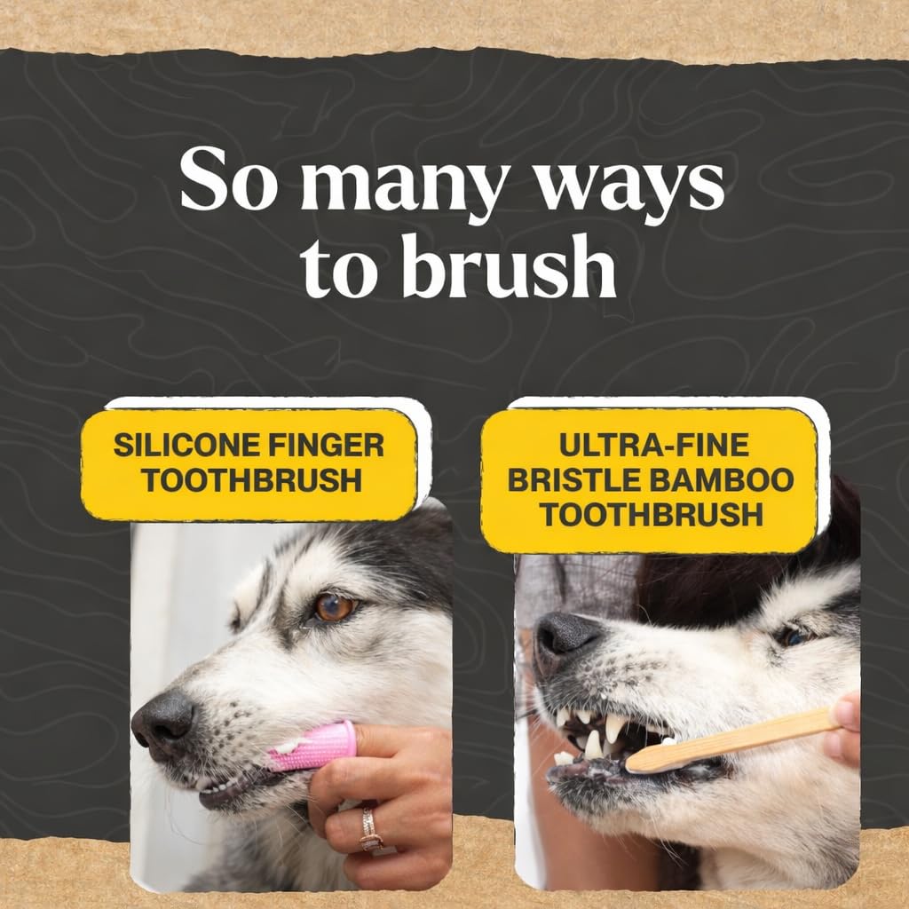 Dog Toothpaste and Toothbrush Vet-Grade Enzymatic Minty Fresh Flavor All Natural Total Dental Care Kit for Small Medium or Large Breeds and Cats - image 6