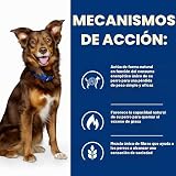 Ver la foto 5