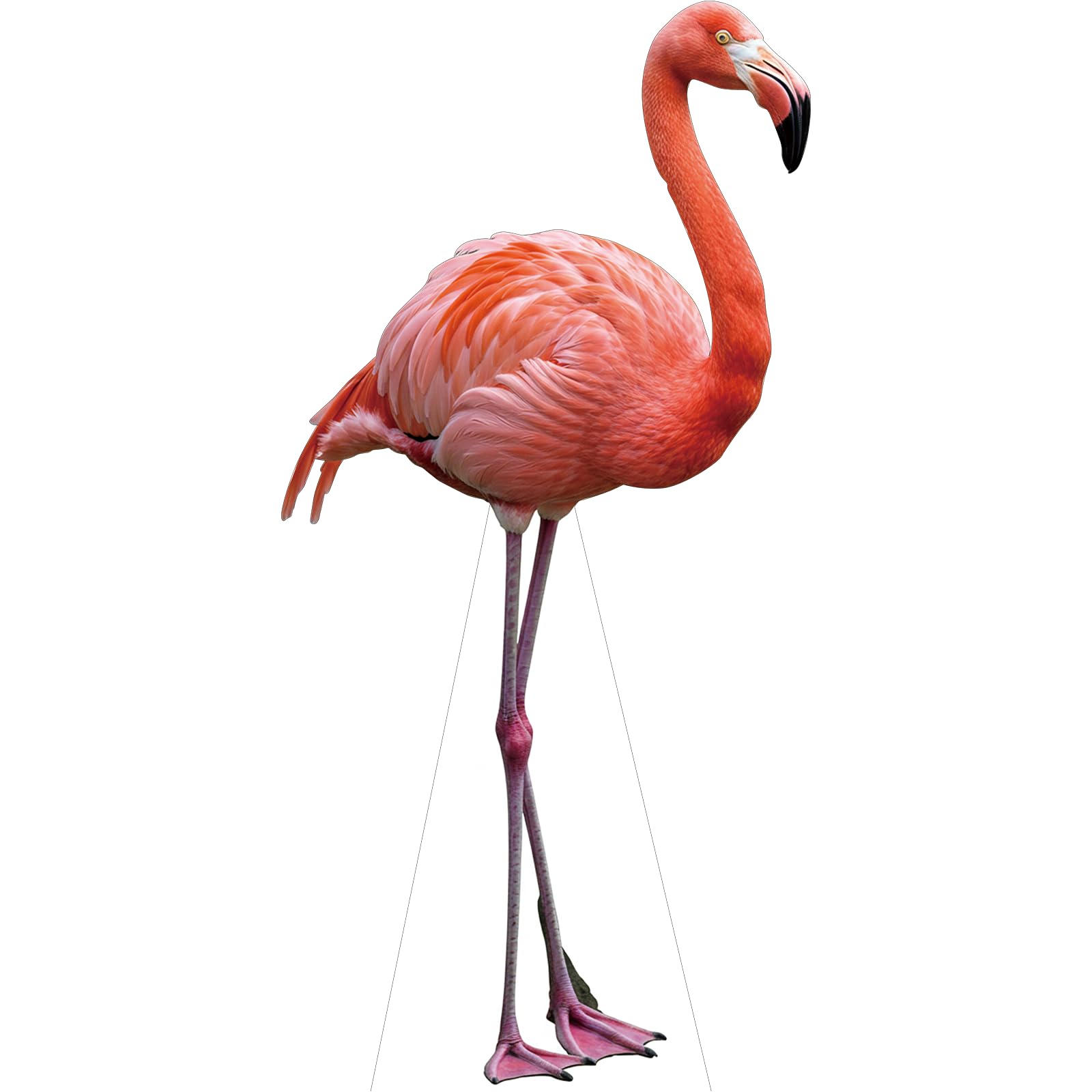 Flamingo 1FT Life Size Cardboard Cutout Standup for Party, 1 PC