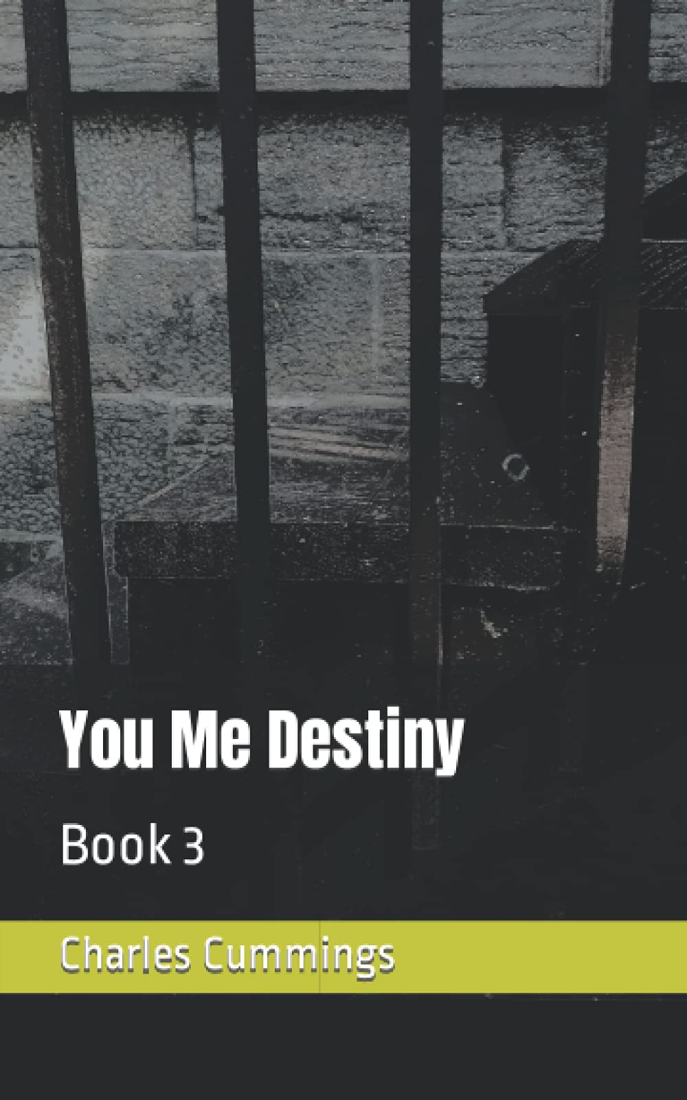 You Me Destiny: Book 3