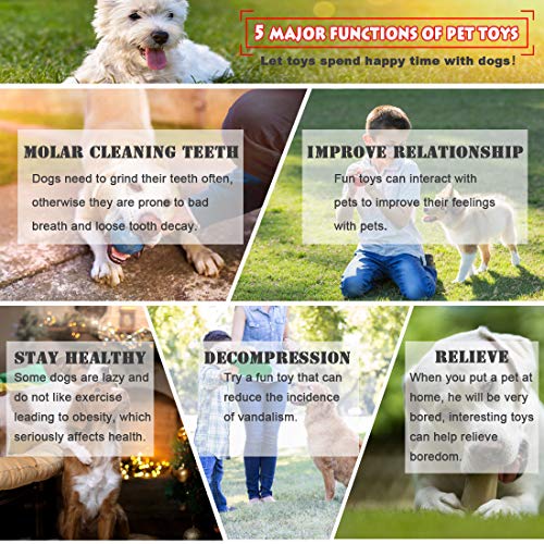 TVMALL Cane Giocattolo Set Completo di 8 Set di