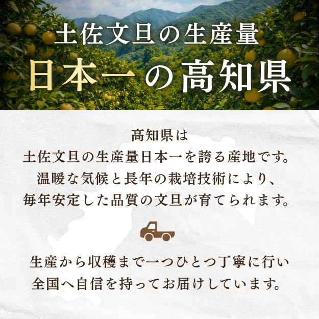 Amazon.co.jp: 文旦 土佐文旦 サイズお任せ (約20〜30玉) 訳あり ご
