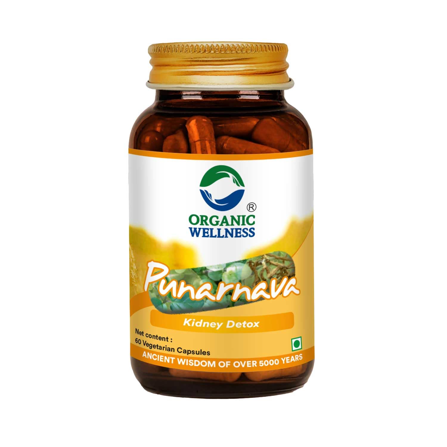 Organic Wellness Punarnava Kidney Detox Supplement For Men & Women Rich With Anti-inflammatory Properties Helps In Digestion & Kidney Health (60 N Veg Capsules) (B0D135JNV9) Amazon Price History, Amazon Price Tracker