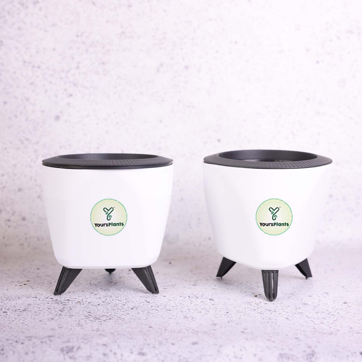 Self Watering Pots |Indoor Plants Garden | with Pot Stand Lagos (W-13cm X H-10cm) X 2 Pieces (White) (B0CVDDKYTM) Amazon Price History, Amazon Price Tracker