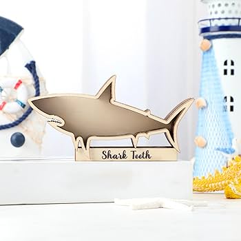 Amazon.co.jp: Yousoontic サメの歯のディスプレイケース サメの