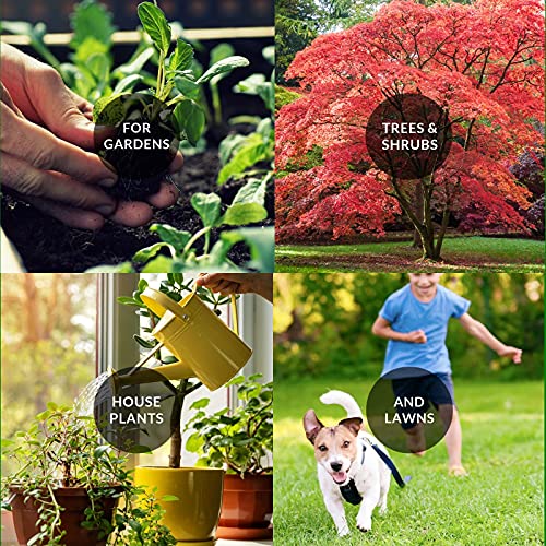 Best Non Toxic Lawn Fertilizers Top Picks