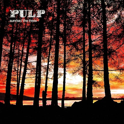 Pulp