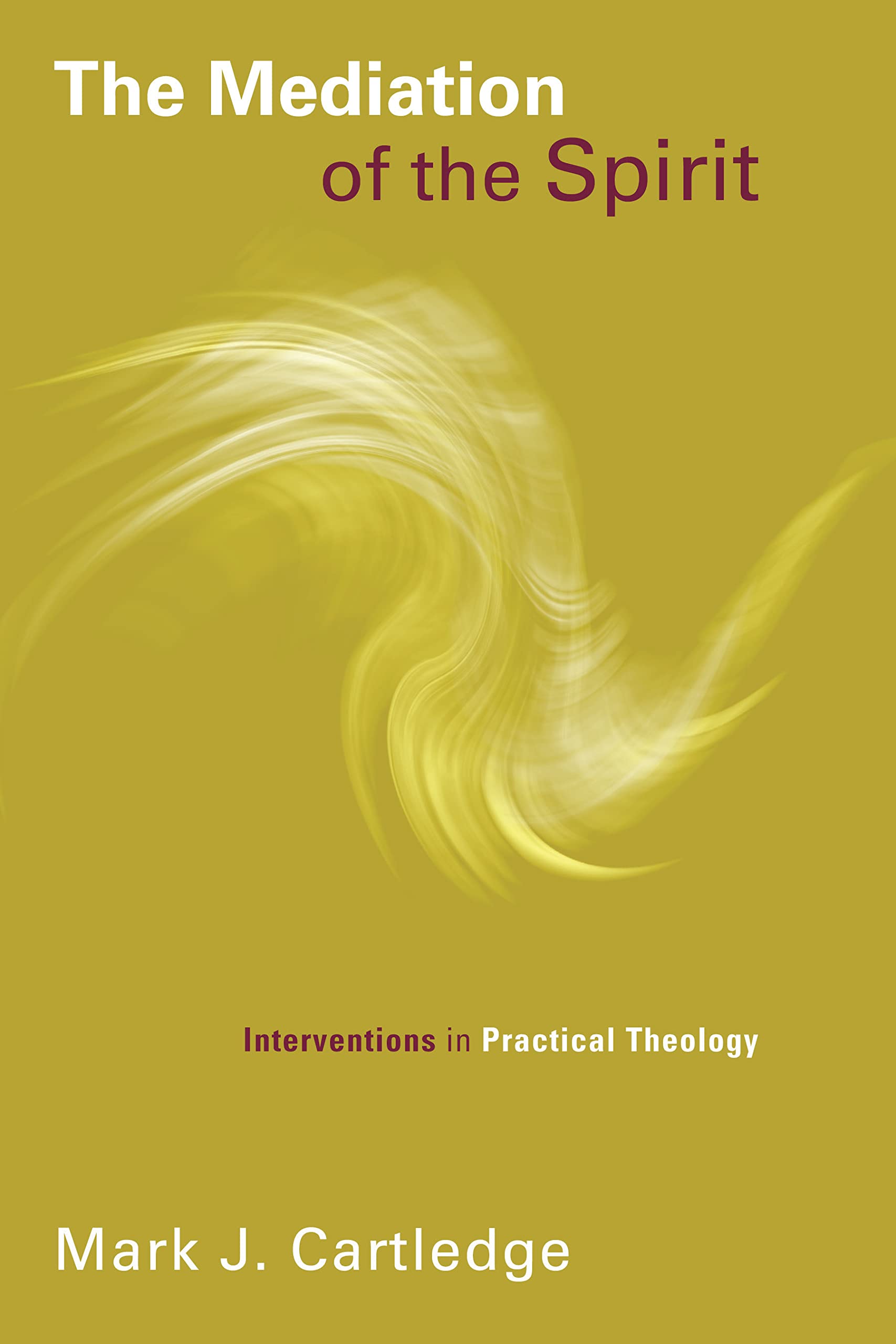 The Mediation of the Spirit: Interventions in Practical Theology (Pentecostal Manifestos)
