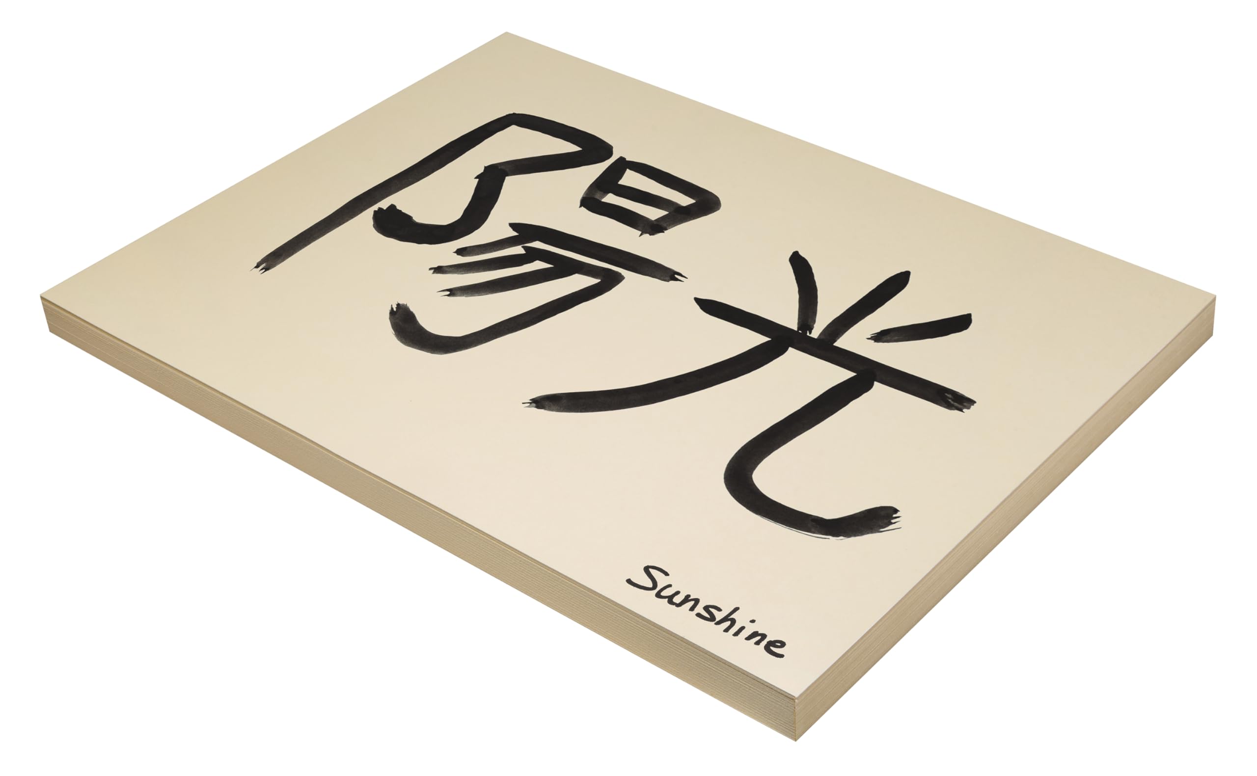 Pacon Manila Tagboard, 45,7 x 61 cm, schweres Gewicht, 100 Blatt (5120)