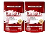 SHUUI 修意 鉄分サプリ 気血の鉄 60日分 1日1粒 鉄15mg配合 サンアクティブFe 葉酸 ビタミンC B12 乳酸菌 マルチビタミン 妊活 国産 GMP認定工場 女性 男性 日本製 サプリメント 30日分×2袋