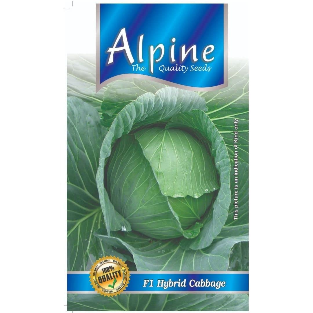 vegetable seeds cabbage (Patta Gobi) f1 hybrid seeds home garden vegetable seeds per/packet 100 seeds (B0B3663ZGS) Amazon Price History, Amazon Price Tracker