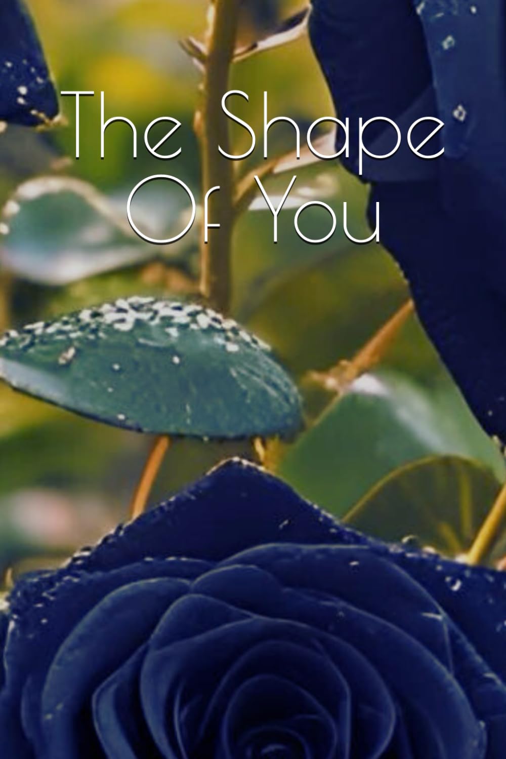 The Shape Of You