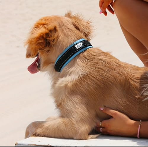 Miniatura 3 de Black Rhino, la comodidad cuello Ultra Suave Collar de perro acolchado de neopreno para todas las razas, heavy Duty ajustable reflectante resistente