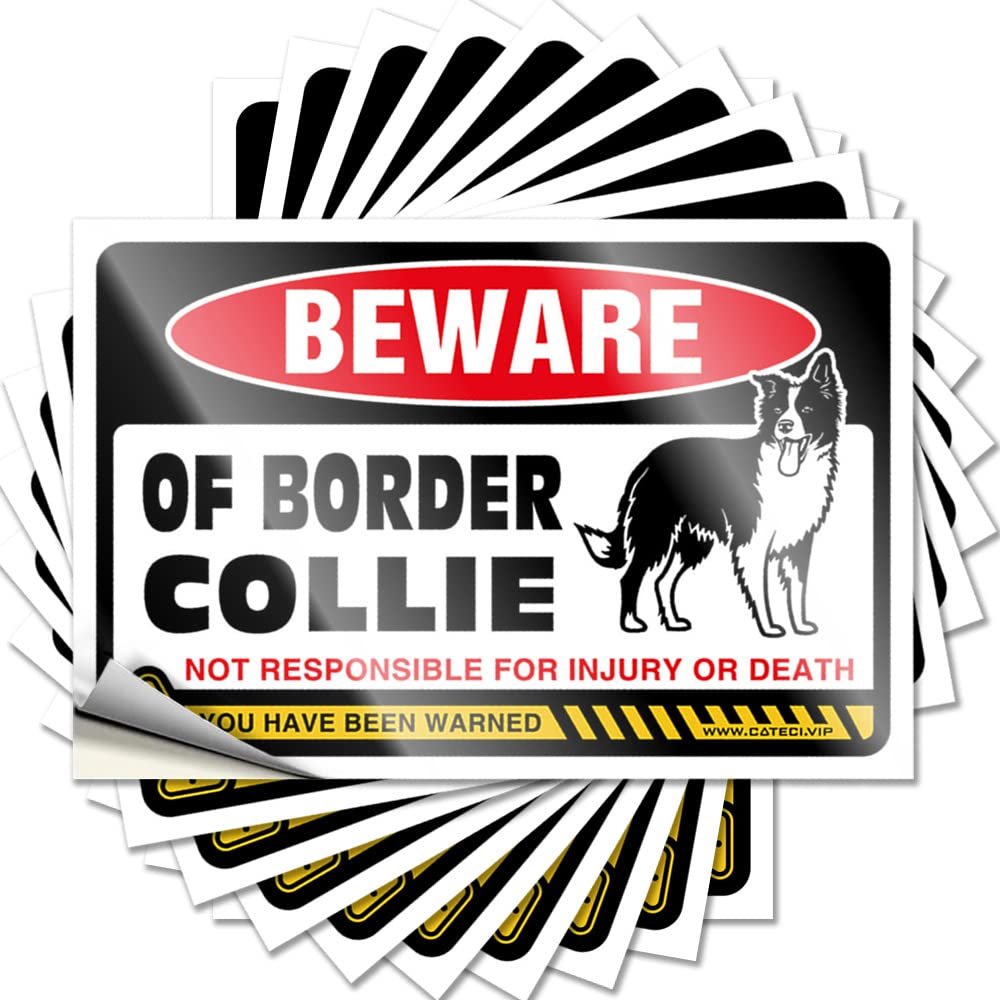 Tattoo - Encouraging Window Beware of Border Collie for Free Farmhouse(8X12CM)