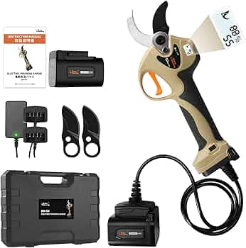 61oOyORkdqL._AC_UF350, 61oOyORkdqL._AC_UF350,