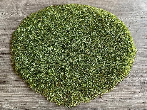 Image of GAF TREASURES 2 oz Lot Natural Semi Tumbled Gemstone Chips, Crushed Mini Crystals, Undrilled Crystal Chips (Peridot)