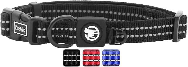 DDOXX Hundehalsband Nylon, reflektierend, verstellbar, gepolstert | viele Farben & Größen | für kleine & große Hunde | Halsband Hund Katze Welpe | Hunde-Halsbänder | Katzen-Halsband klein | Schwarz, S