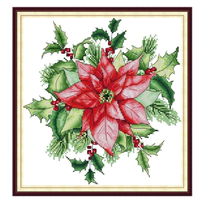 Gofission 14ct Stamp Cross Stitch Kit for Adults Beginners Christmas Red Flowers DIY Preprint Cross Stitch Embroidery Set with Accessories Wall Decor 31x32cm (Christmas) : Hobbies
