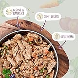 Fidelis - Gekochtes Frische-Menü Lachs für Hunde 10 x 500g - Premium Hunde Futter mit 70% Fischanteil und frischen Zutaten - Proteinhaltiges Hundefutter nass Nicht extrudiert - Zucker- & Getreidefrei