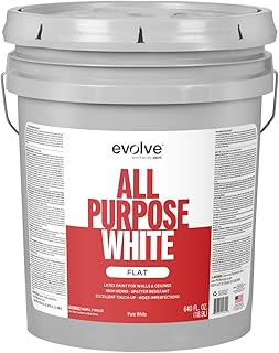 26 Simple Accent Wall Ideas That Make A Big Difference 118 EVOLVE All Purpose Whites: Latex Flat Interior Paint for Walls & Ceiling...