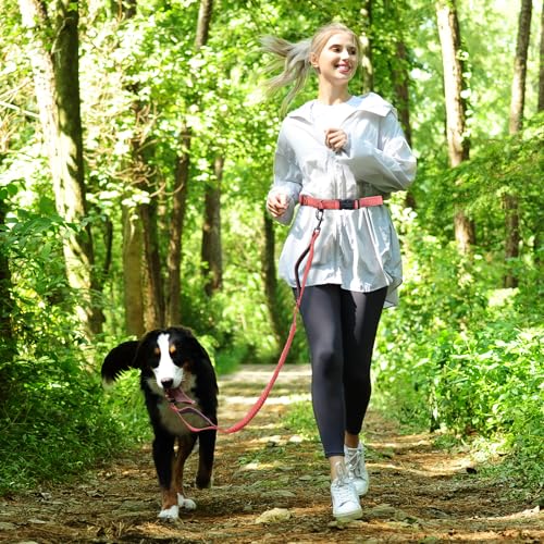 VIVAGLORY Joggingleine Hunde Bungeeone Hundeleine Joggen, Laufleine mit Schlaufe & Gepolstertem Griff für Hausleine Joggingleine, Bungee & Gummizug für Hunde, S, Rosa/Grau