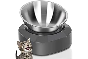 Raised Stainless Steel Cat Bowl