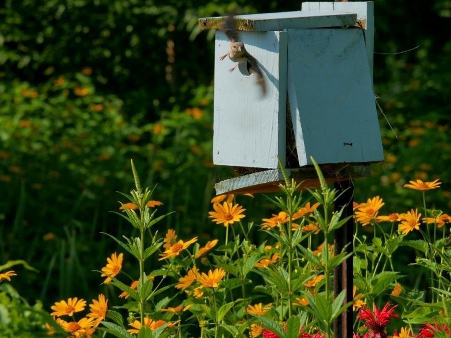 The G7 is one HECK of a nice camera!