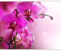 Vista 18 de artgeist Mural de pared prémium Orquídeas blancas Zen 138 x 106 pulgadas, papel tapiz no tejido, decoración de pared de vellón, impresión #04