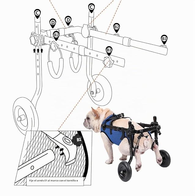 Foto 5 de 7 de Silla de ruedas for perros pequeños con patas traseras, silla de ruedas for mascotas/perros