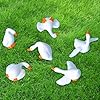 FCKLVMC 18 Pcs Mini Goose Figurine, Tiny Resin Goose DIY Crafts Desk Goose Cake Topper Micro Landscape Dollhouse Ornament #4