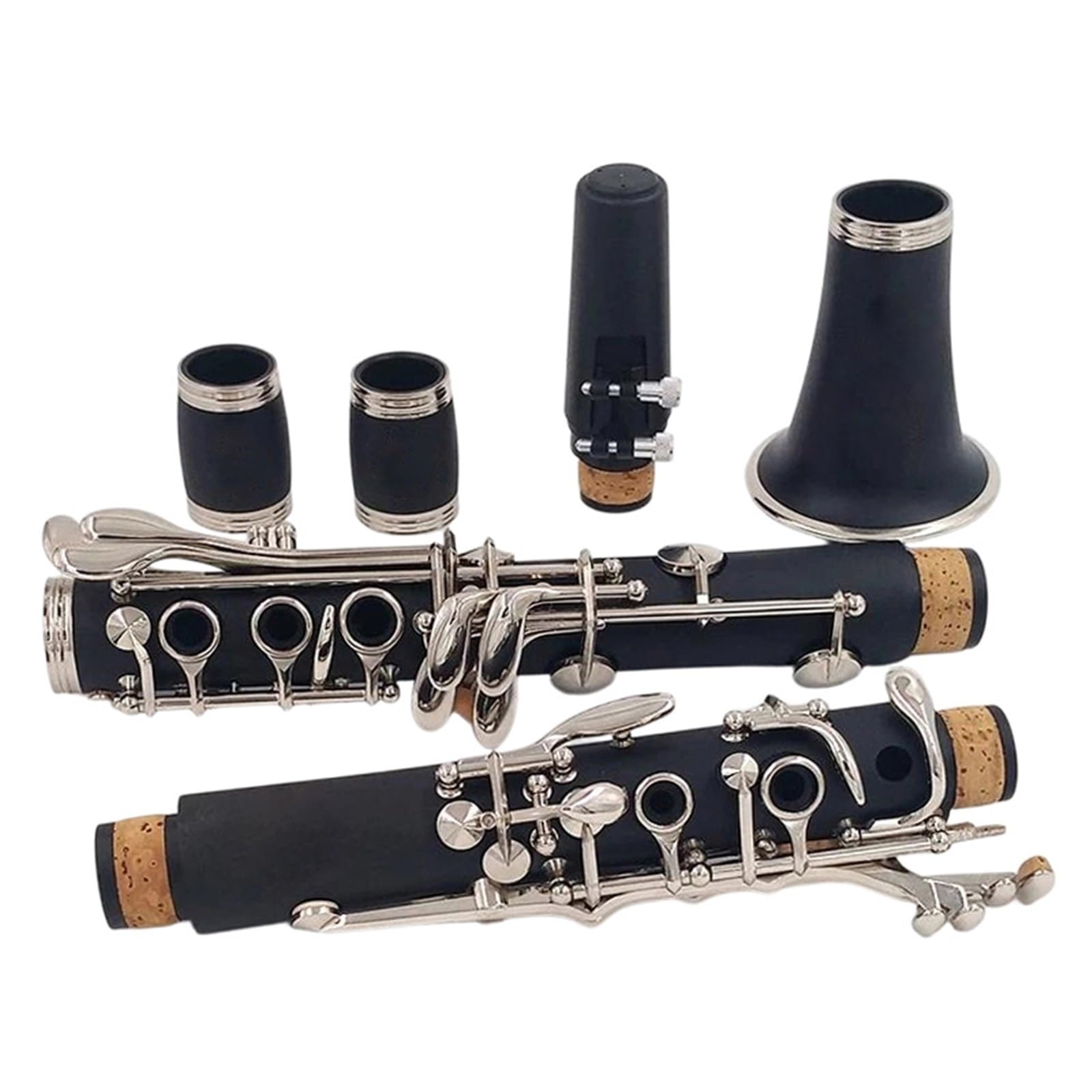 Gli Amanti Della Musica Per Principianti Di Clarinetto Professionale In Chiave C Si Esercitano A Suonare