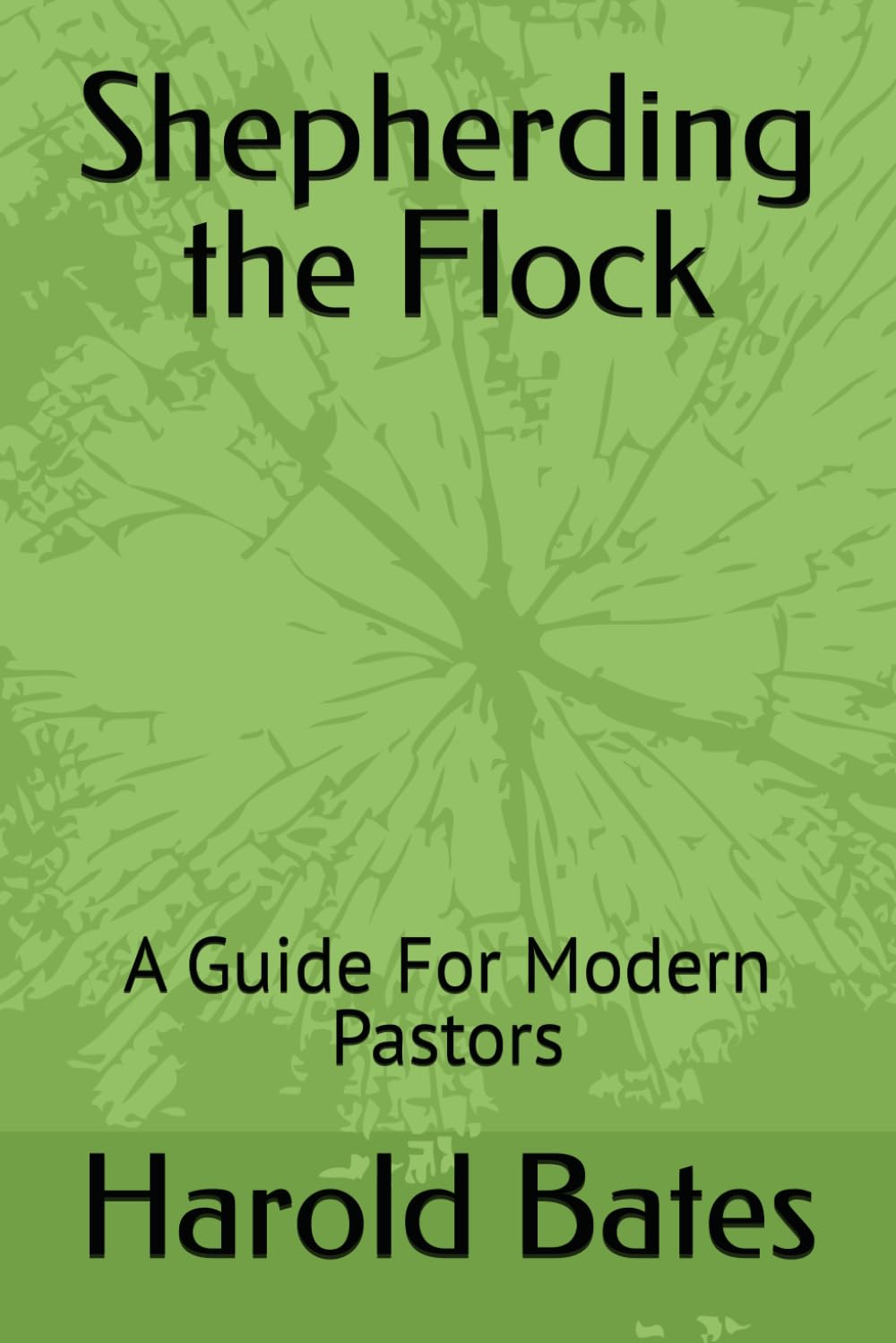 Shepherding the Flock: A Guide For Modern Pastors
