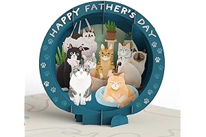 Lovepop Cat Dad Father's Day Pop-Up Card: Special Gift for Cat Dads