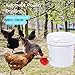Darcvds Professional Chicken Waterer Cups, 8 Packs Large Chicken Water Feeder, Tee...