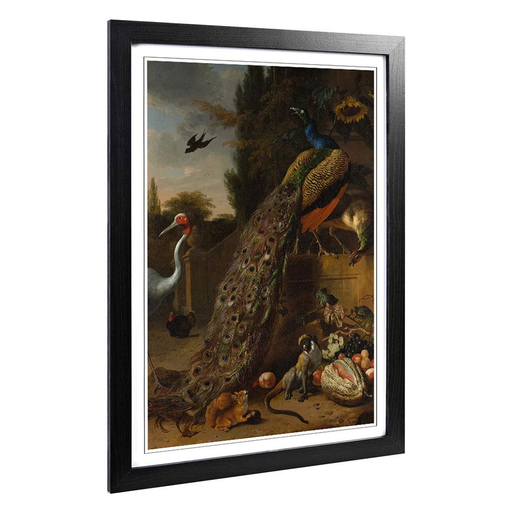 Big Box Art Framed Print of Melchior d'Hondecoeter Peacock Design | Wall Art Picture | Home Decor for Kitchen, Living, Dining Room, Bedroom, Hallway, Office, Black, A2 / 24.5x18 Inch / 62x45cm
