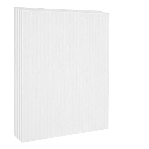 Amazon Basics Stretched Canvas For Painting, 5 Pack, White, 20" L x 16" W