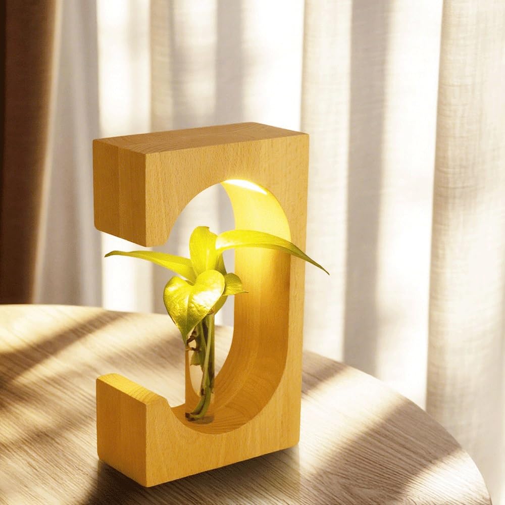 Lampada da tavolo Piccola luce notturna creativa, regalo semplice, lampada da scrivania con pianta ornamentale Lampade per la camera da letto