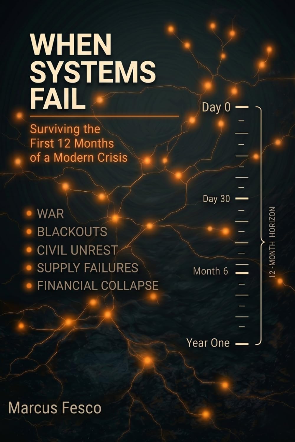 When Systems Fail: Surviving the First 12 Months of a Modern Crisis