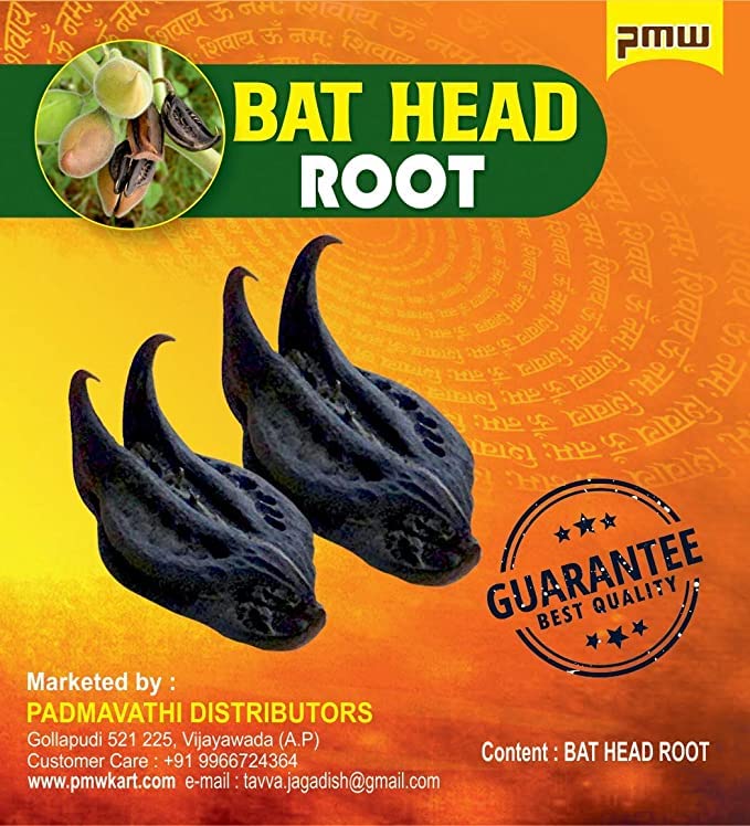 Stearic Bat Head Roots Devil Pod Evil Pod 2 Pcs